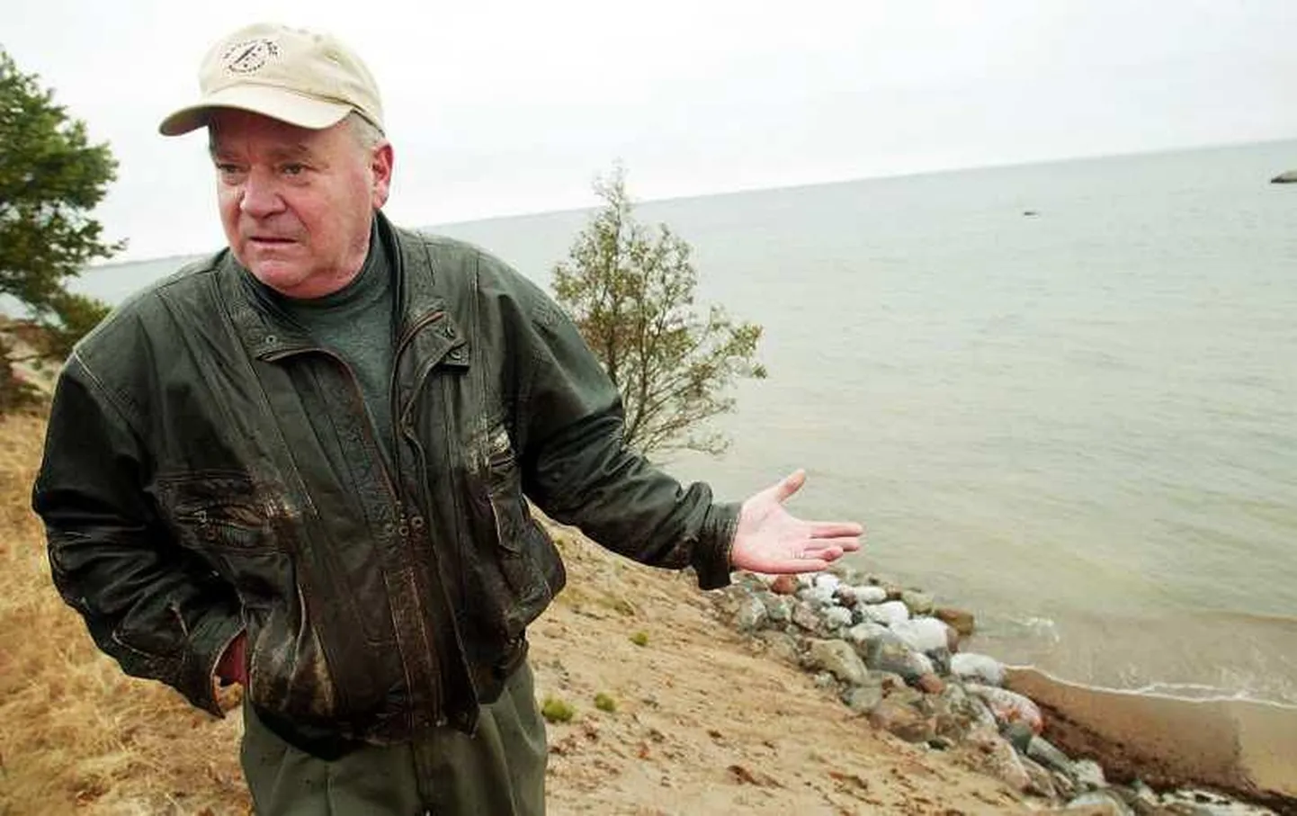 Энн Сарап.