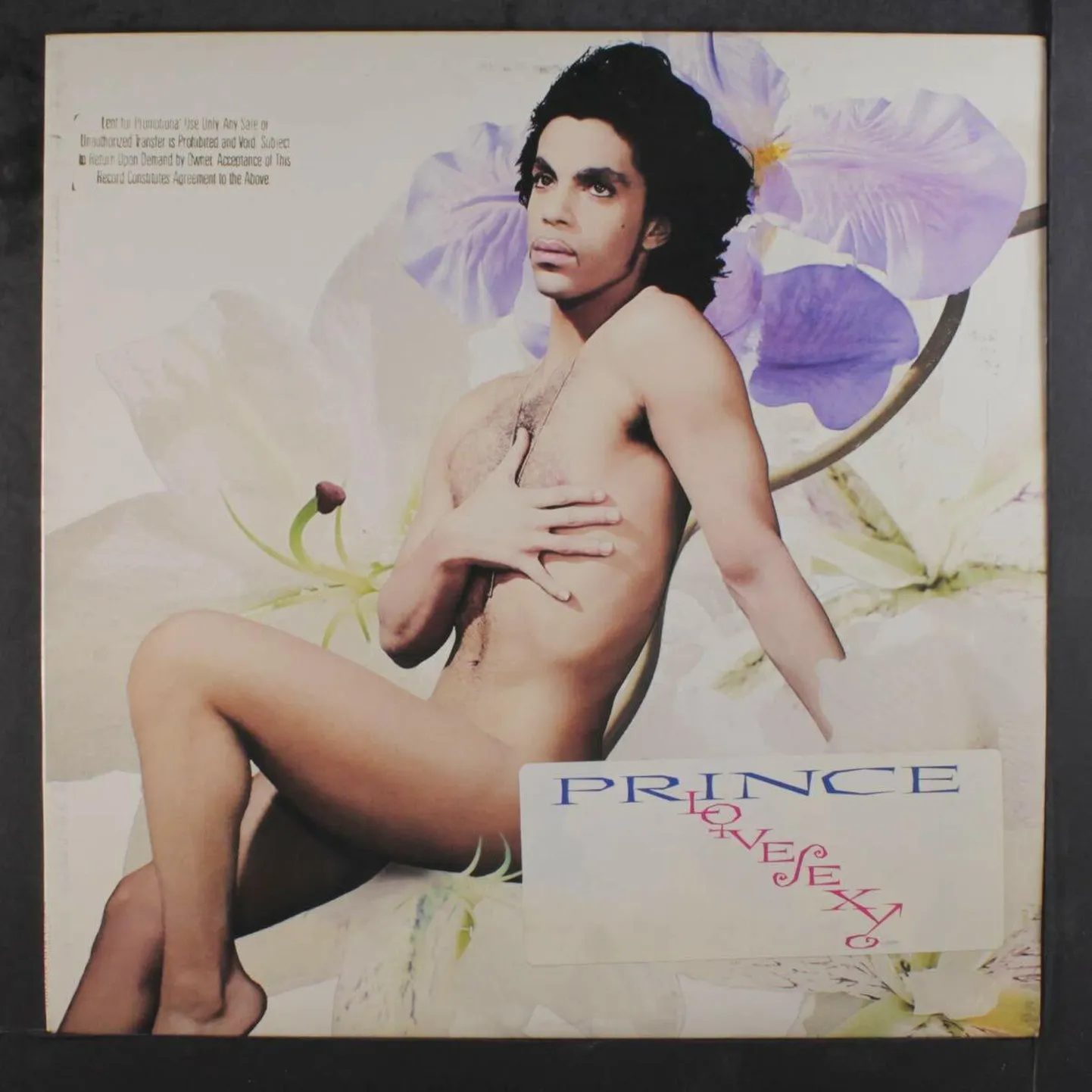Prince, «Lovesexy».