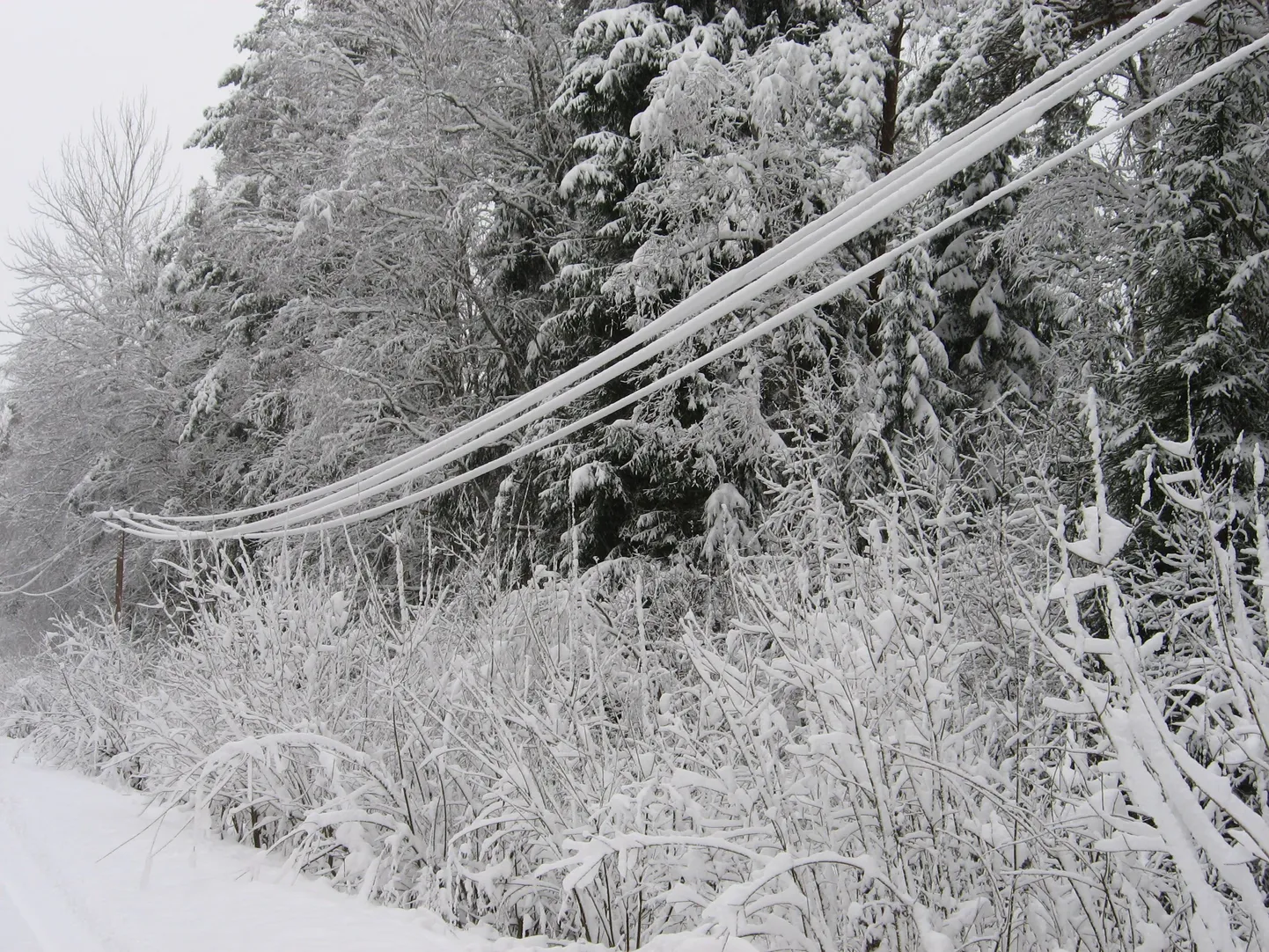 Pilt on tehtud eile õhtul Võrumaal Tõru alajaama lähistel.