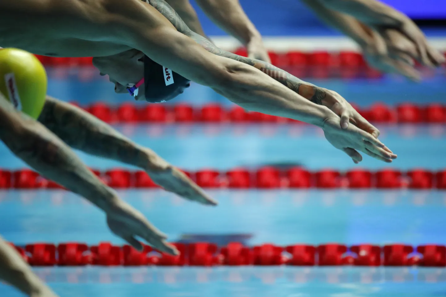 Чемпионат мира по водным видам спорта в Южной Корее