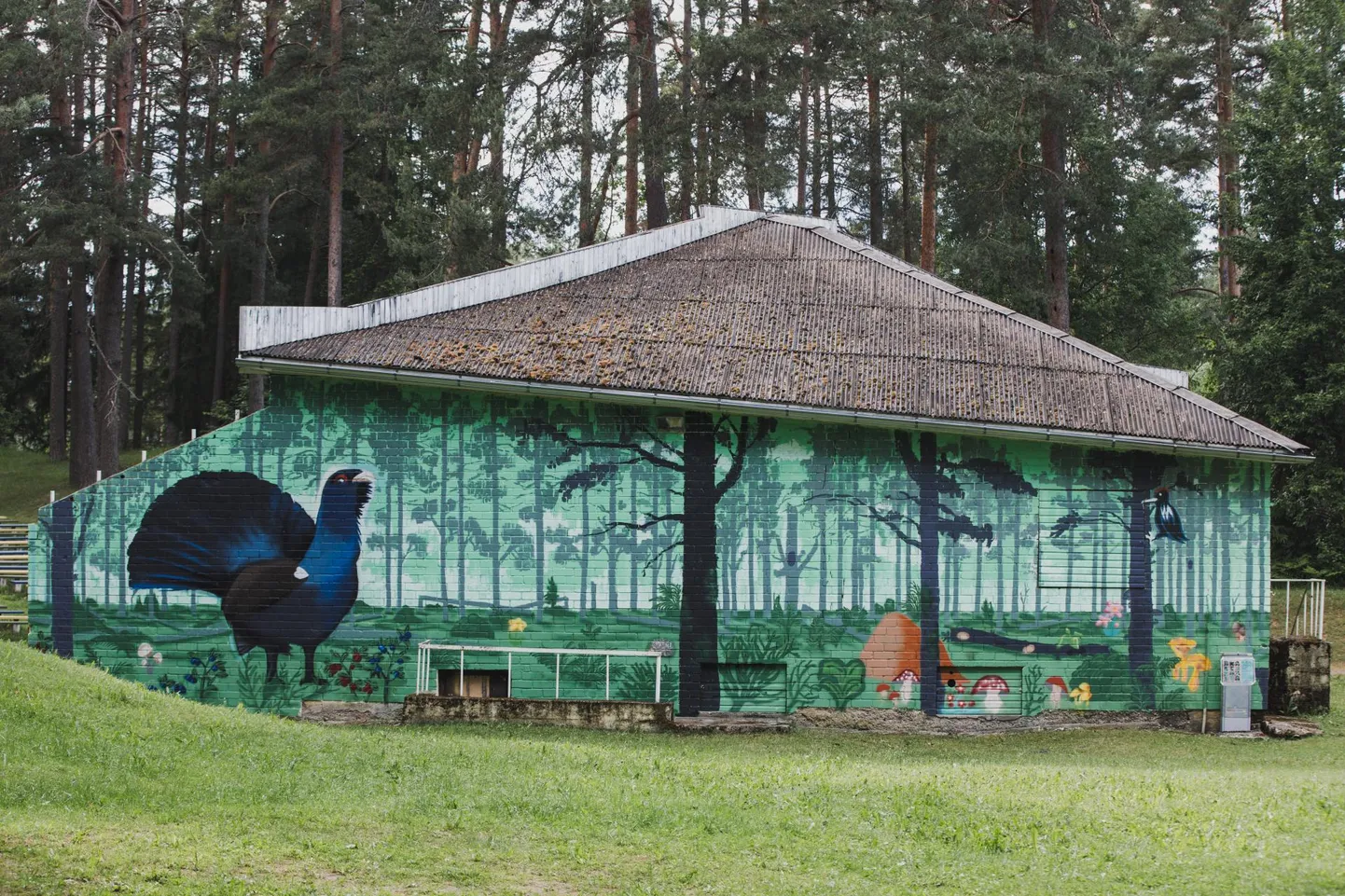 Möödunud aastal oli RUA festival Võrumaal ja seal valmis nii Eesti kui välismaa kunstnike käe all 15 seinamaali.