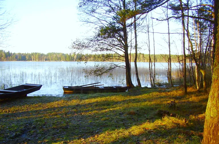 Hommikused päikesekiired Pullijärvel.