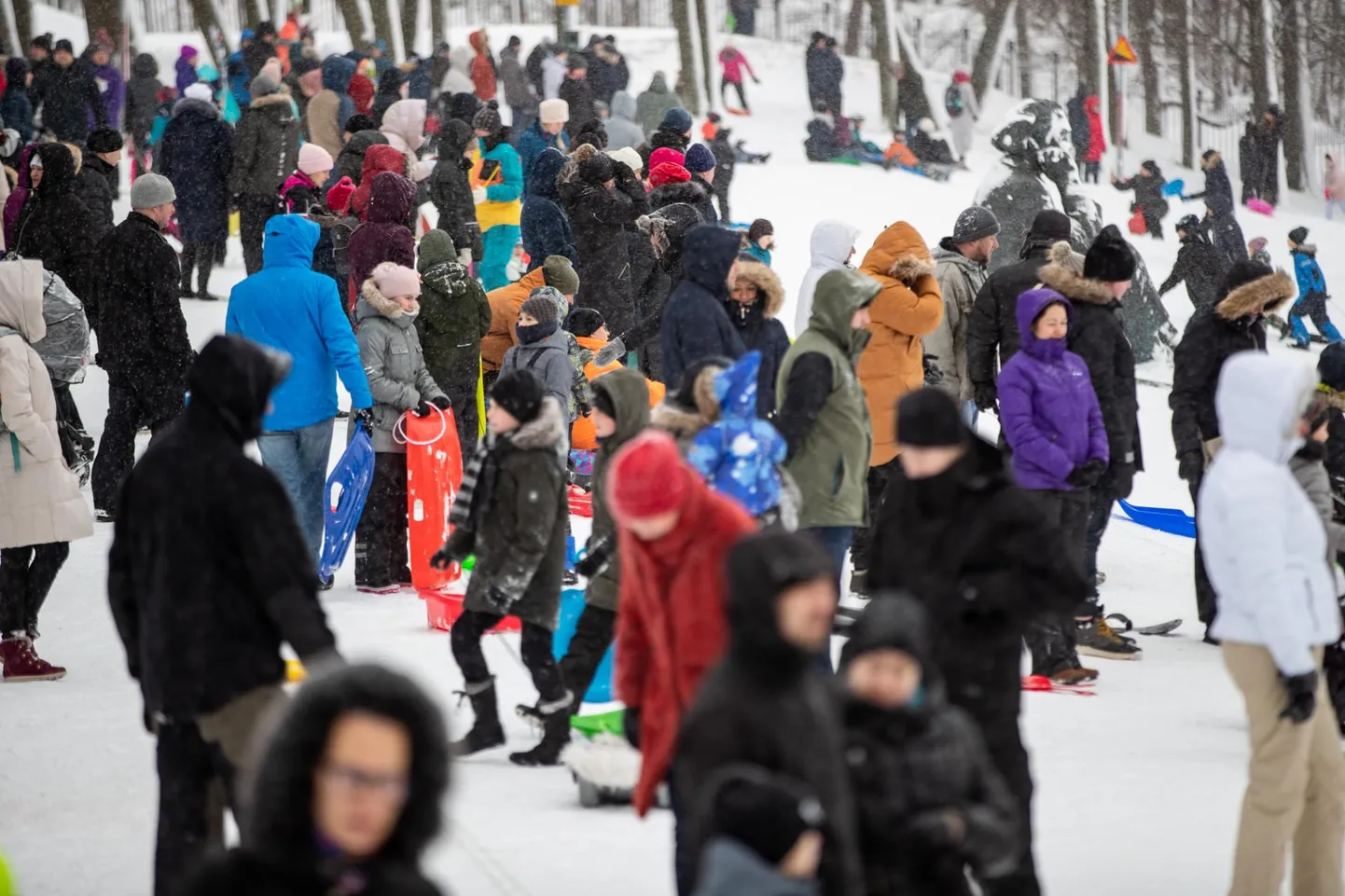Läinud nädalavahetusel sai ka Tallinn kauaoodatud lumekihi ja see täitis Tallinna lauluväljaku kelgutajate armeega.