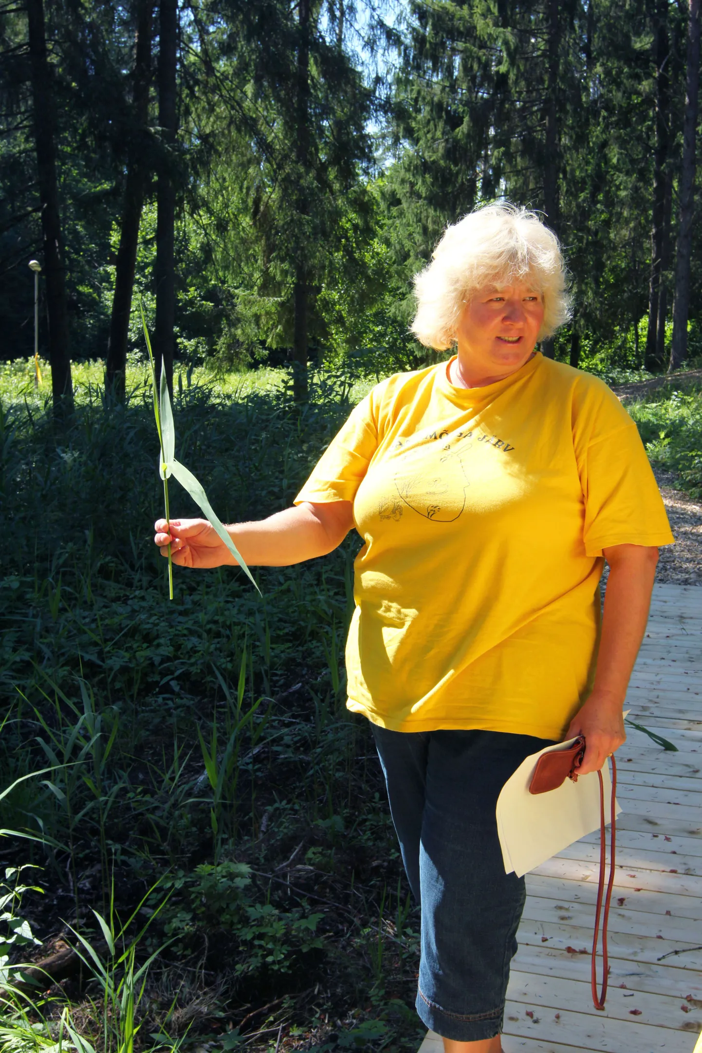 Tõrva gümnaasiumi õpetaja, projektijuht Liia Ortus, kes pargi korrastamise on endale südameasjaks võtnud, näitab hiljuti järve ääres valminud laudteel vanapagana hambajälgi pilliroolehel.