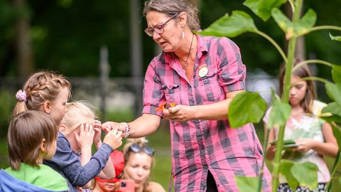 Tallinna linnaaiad ja keskkonnaprojektid saavad ligi pool miljonit eurot toetust