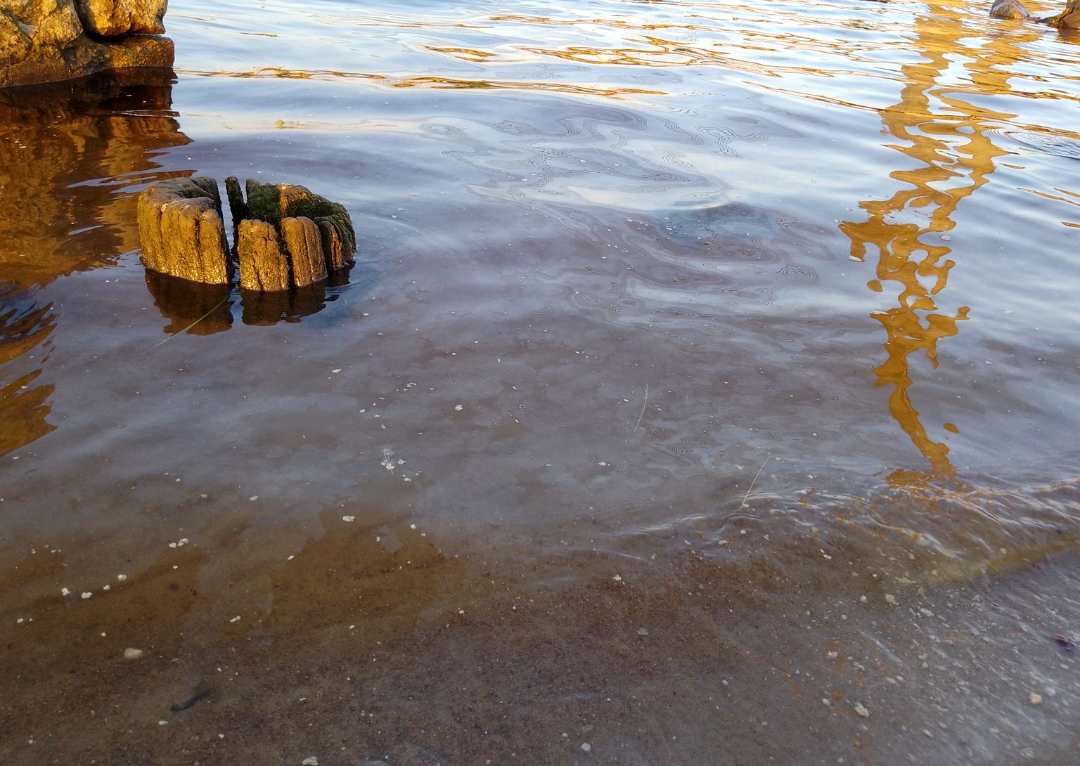 Загрязнители воды картинки