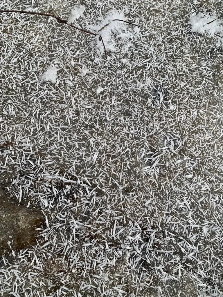 Jää on nõelu täis.