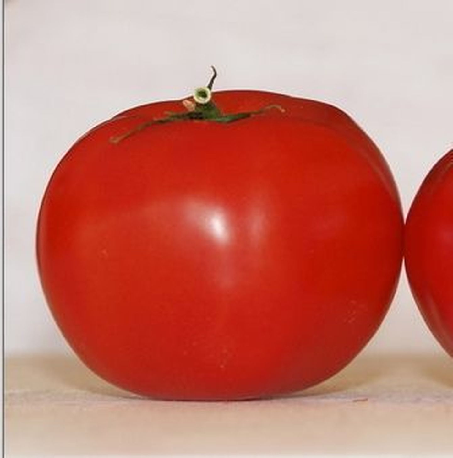 Teadlased aretasid kaua säiliva tomatisordi