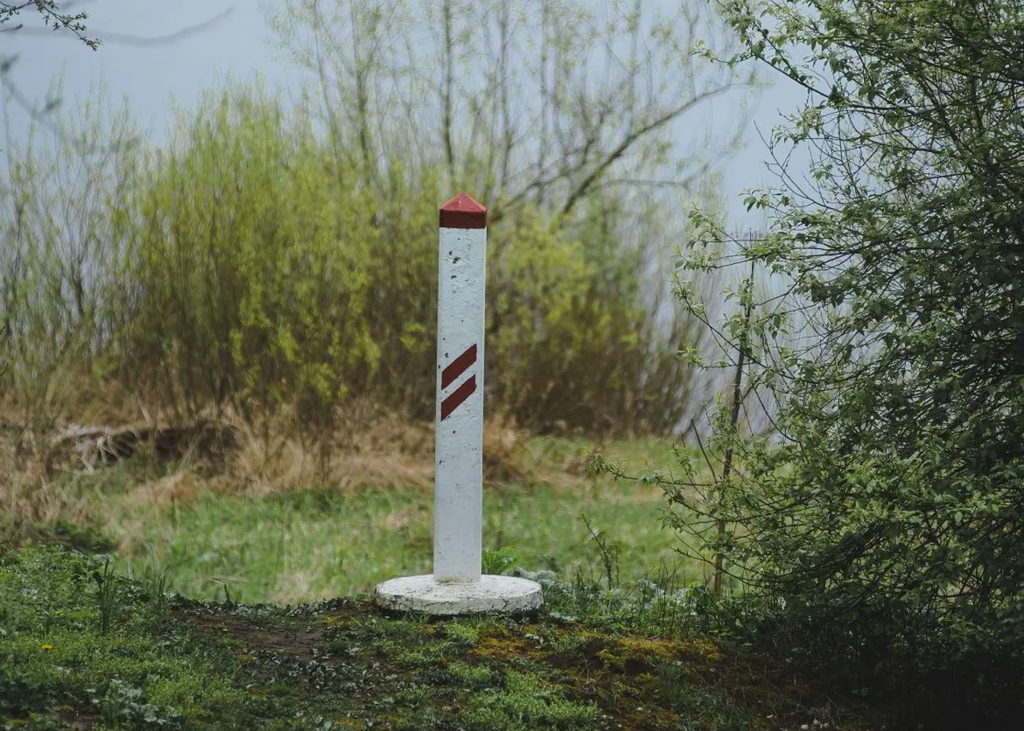 Фото статьи