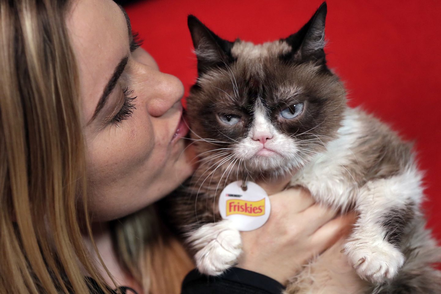 Grumpy Cat ja ta omanik Tabatha Bundesen 2018