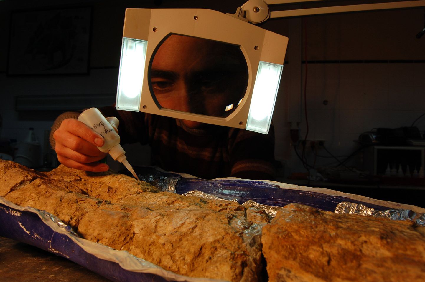 PaleoAngola projekti uurija Octavio Mateus fossiili uurimas