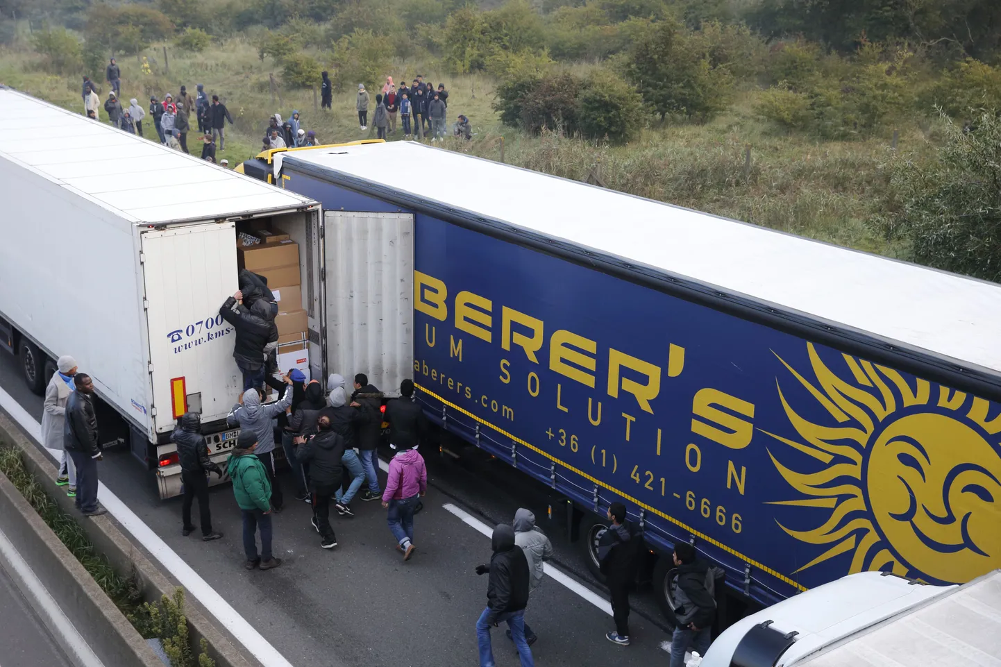 Artikli foto
