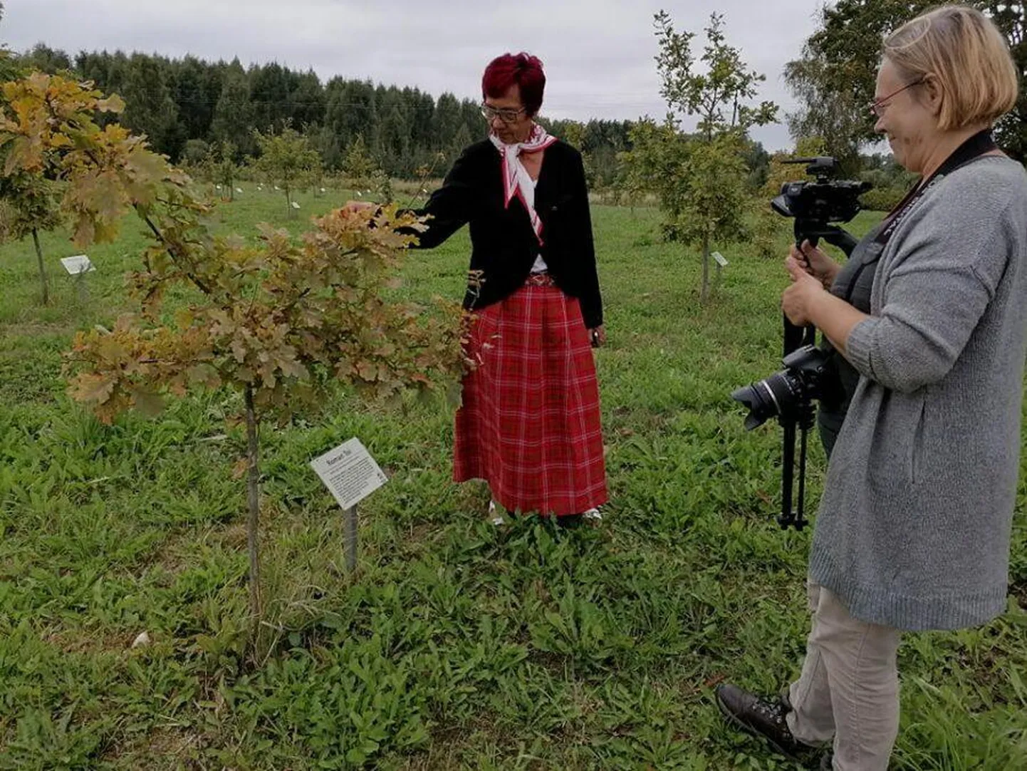 Mulke seltsi vanemb Saare Ene ja aakirjanik Lõhmuse Maarja käisive mulke tammikun kah.