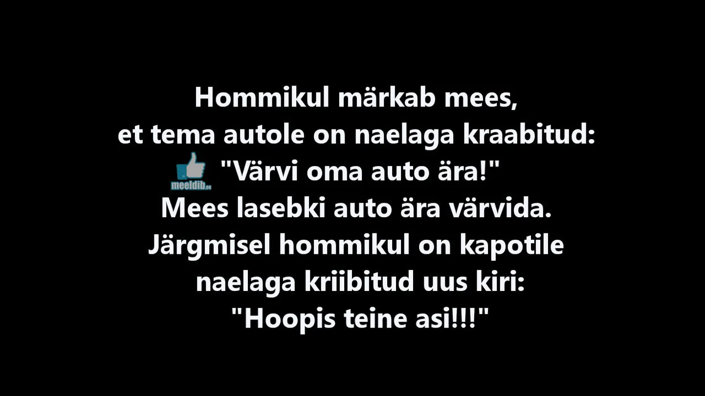 Artikli foto