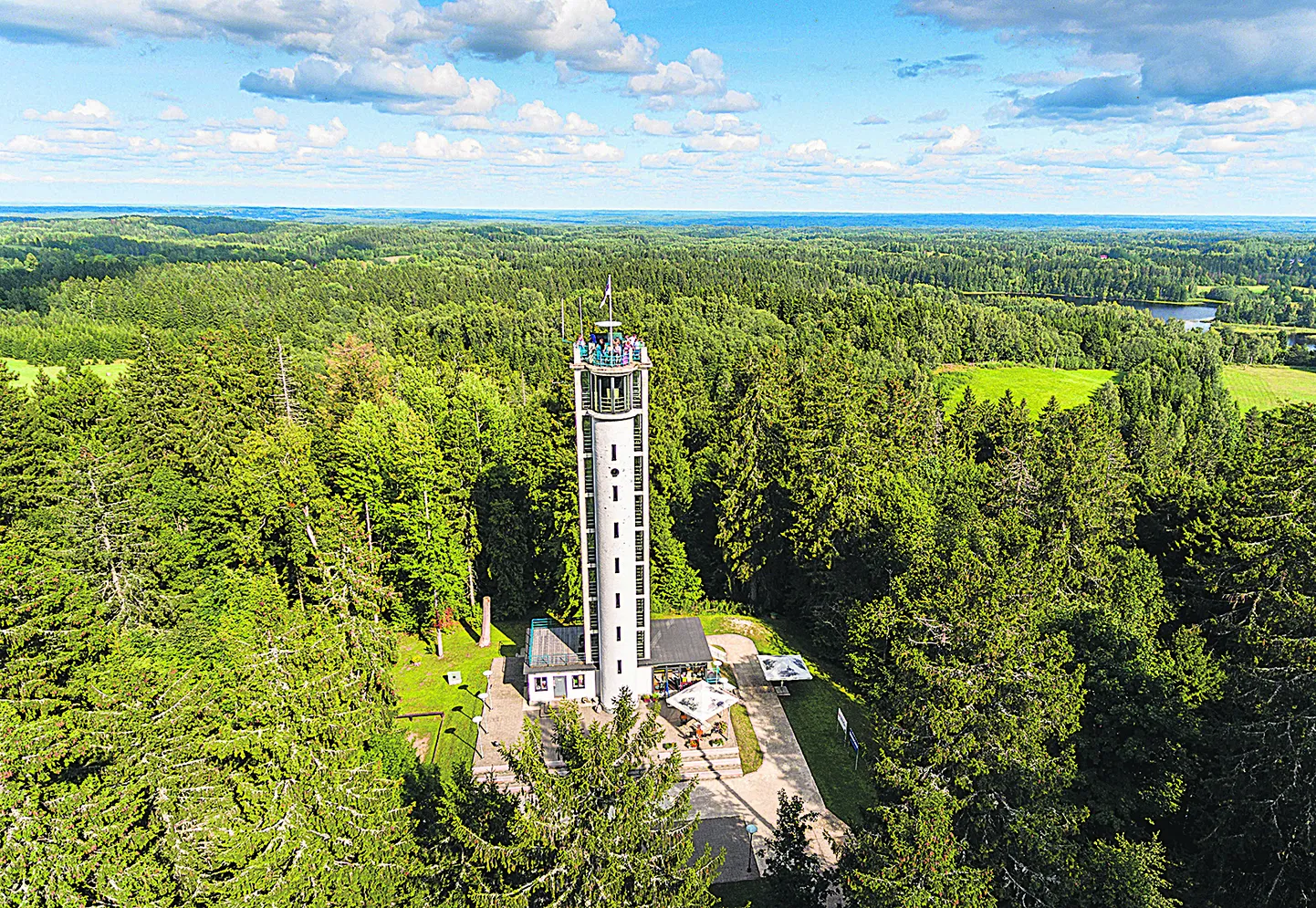 Suur Munamägi