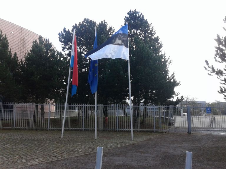 Эстонский флаг в Люксембурге.