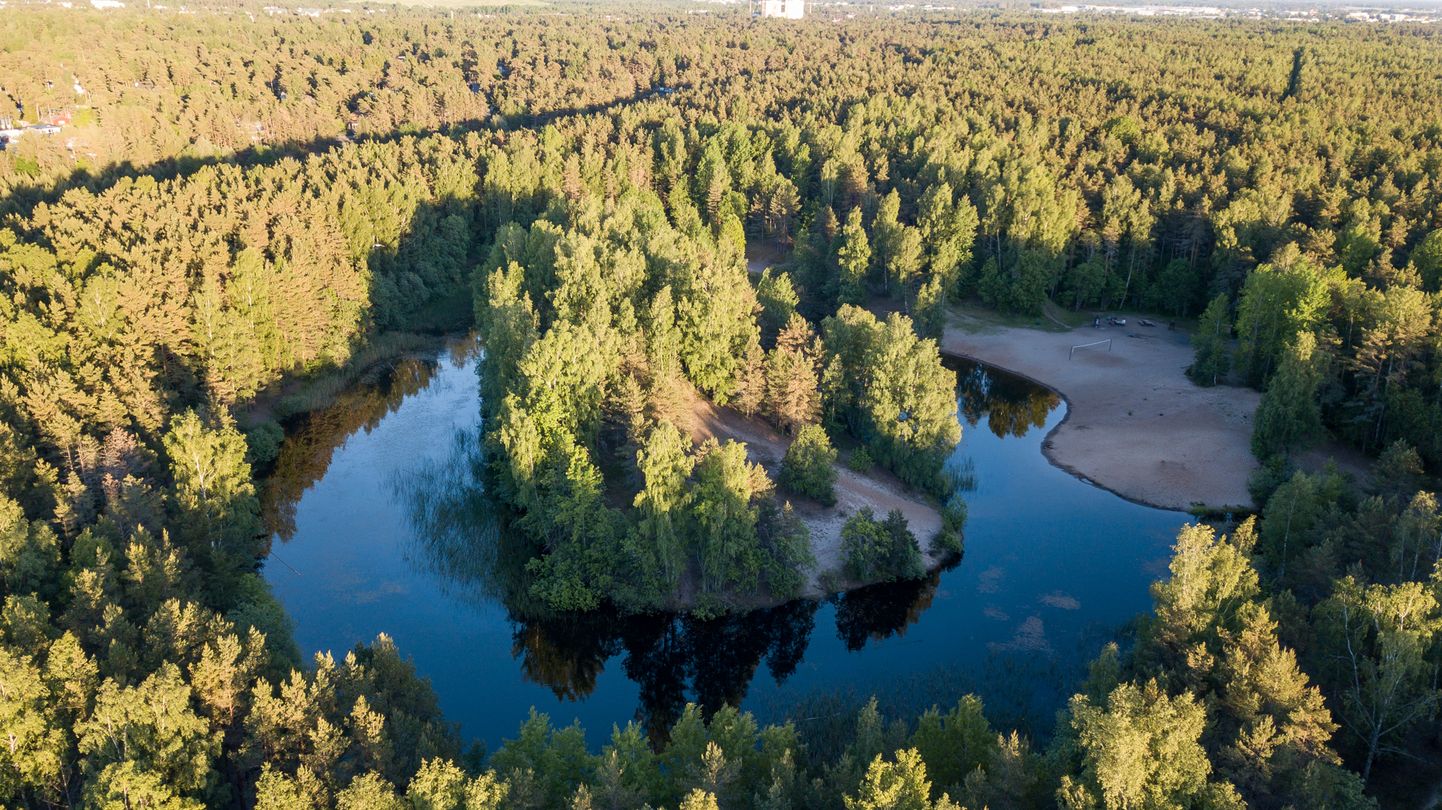 Saarega järv Harku metsas nimetati ametlikult Rõngasjärveks.
