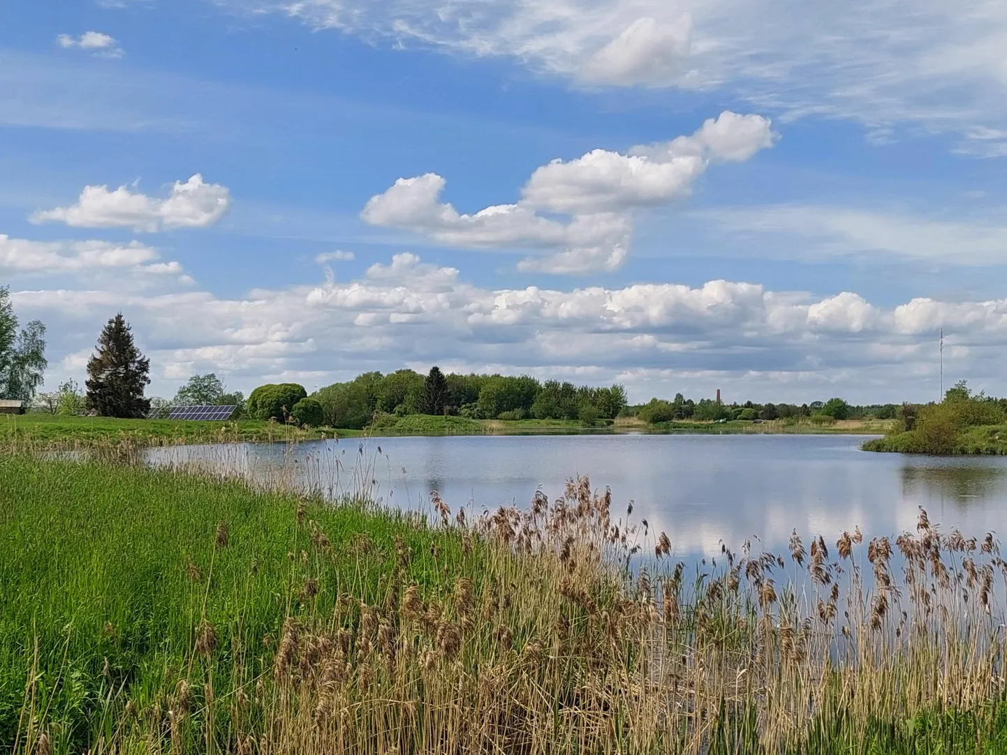 Ilmatsalu paisjärv on praegugi võrdlemisi madal ning taimi täis. Kohalikud kardavad, et golfiküla rajamine kuivatab selle sootuks.