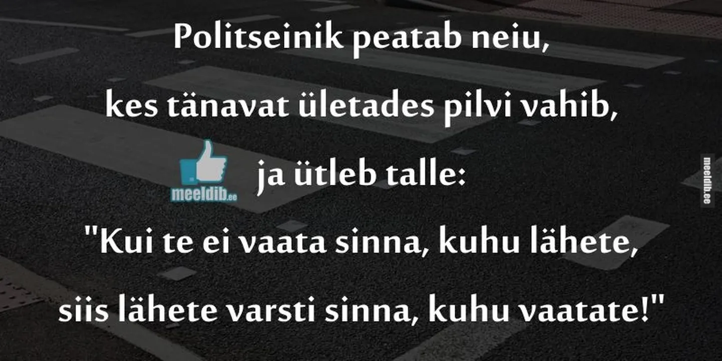 Artikli foto