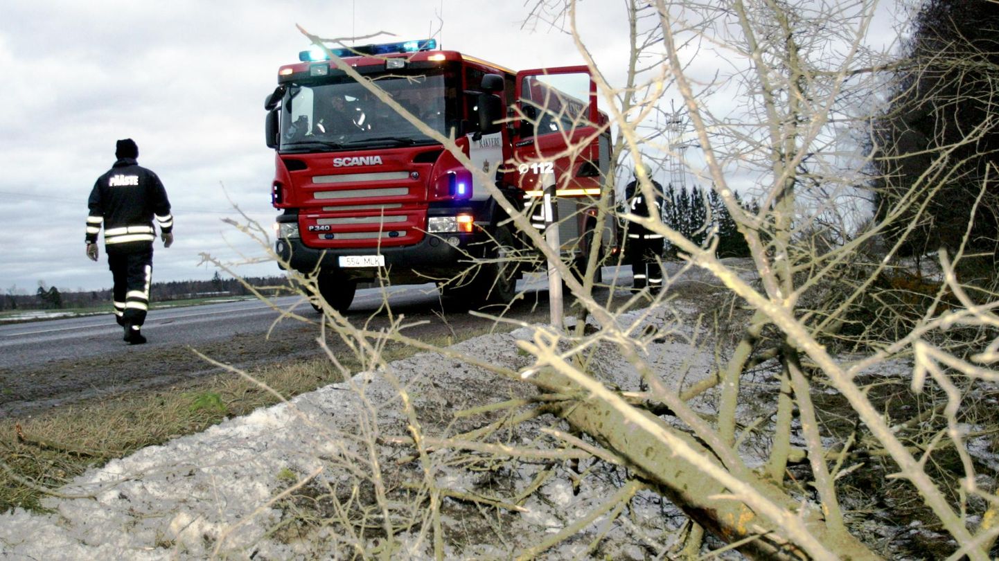 Päästjad eemaldasid tugeva tuule tõttu teele langenud puid.