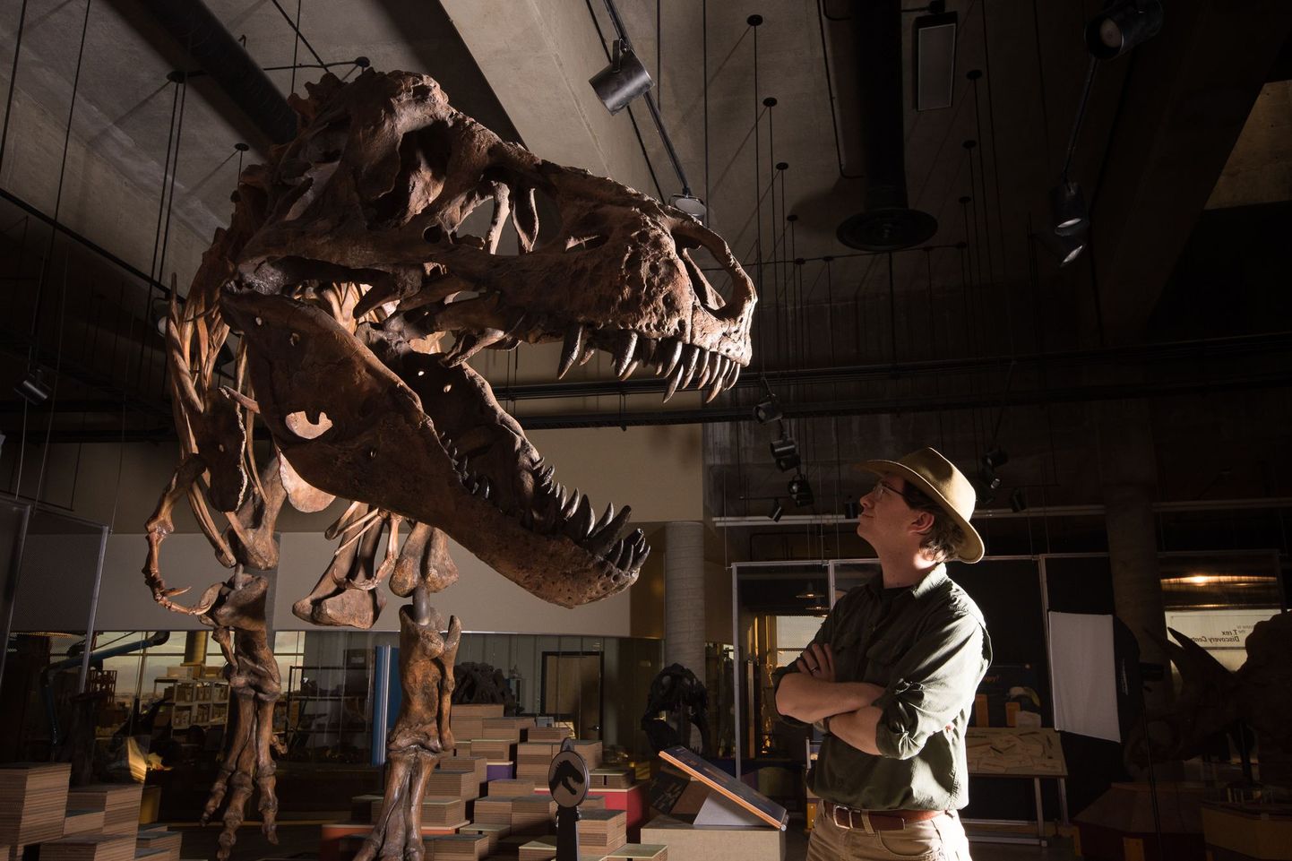 Kõigi aegade suurim Tyrannosaurus rex Scotty koos teadusrühma juhi Scott Personsiga. Seni leitud dinosauruste seas on Scotty ka suurim kiskja.