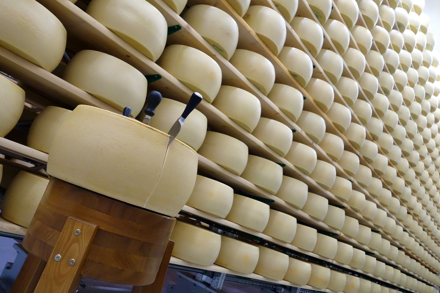 Igal kuul sõidab Valio Võru tehasest välja 207 tonni Forte kõva juustu, millest lõviosa jõuab klientideni väljaspool Eestit. Ligi pool sellest läheb Itaaliasse.