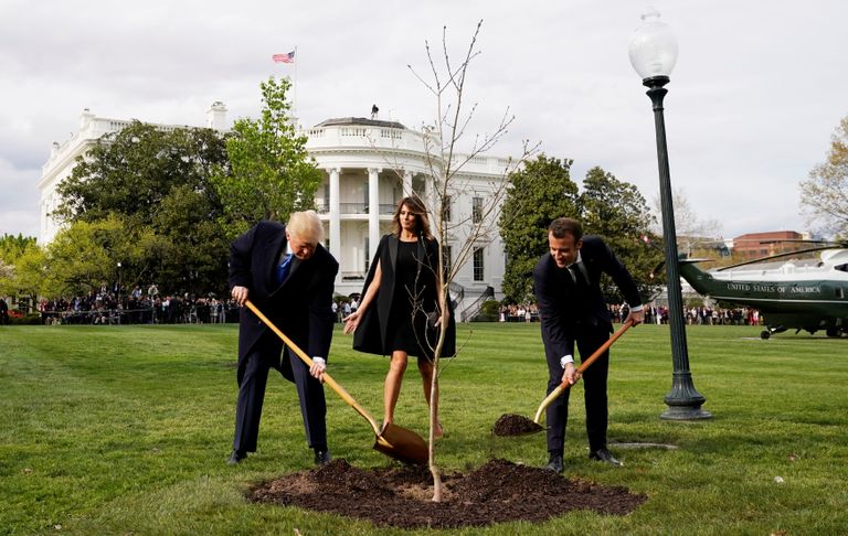 Donald Trump ja Emmanuel Macron istutasid Valge Maja aeda tamme