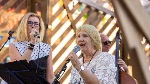 Rakke kultuurikeskuses tuleb kontsert "Kadunud ehted"