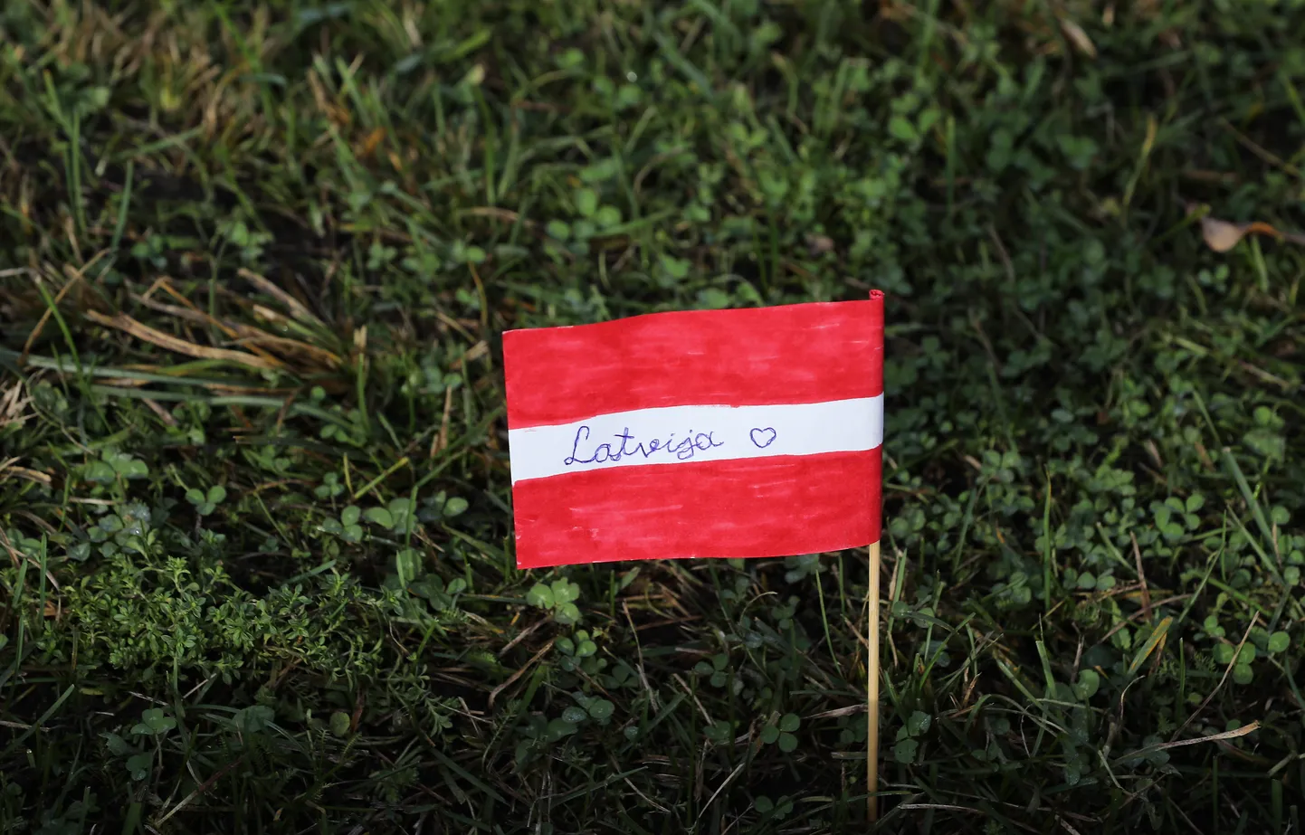 Raksta foto