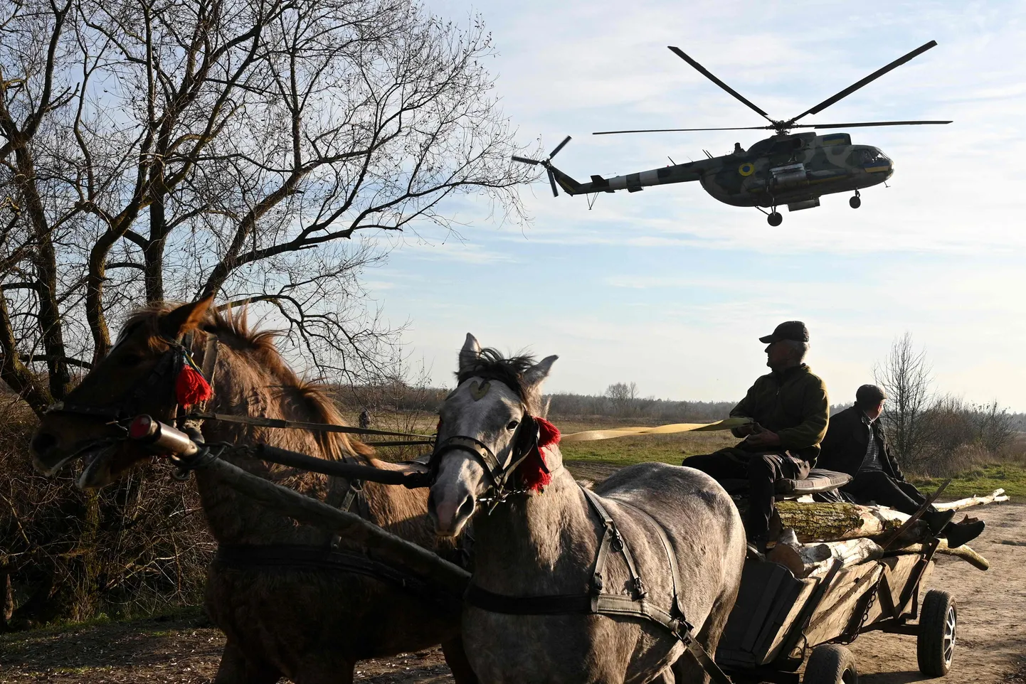 Телега, запряженная лошадьми, в украинском тылу (иллюстративное фото).