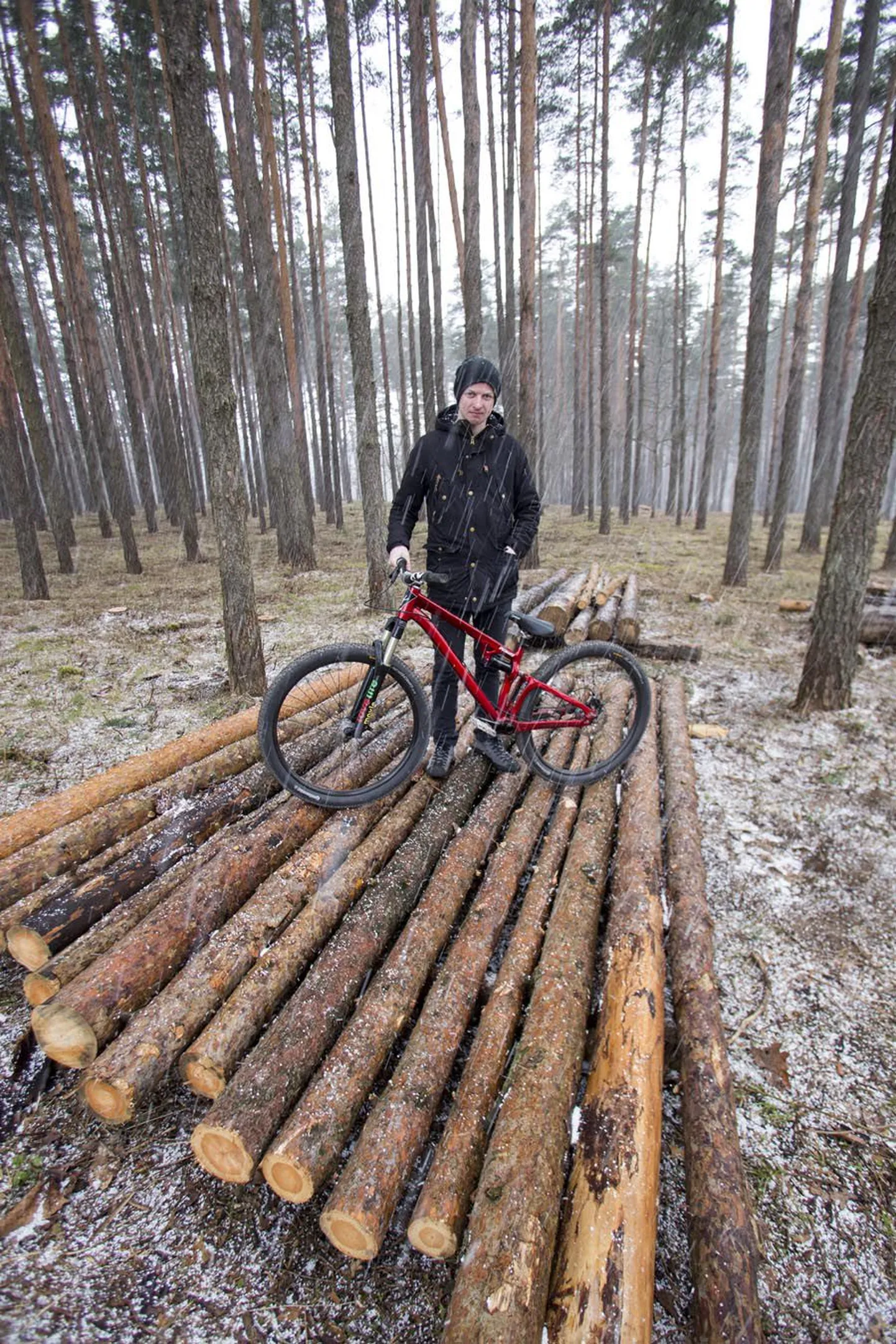 Rainer Rätsep plaanib tänavu oma sõpruskonnaga Uueveski nõlvale rajada paarisaja meetri pikkuse ekstreemspordirajatise. Stardipaku materjaliks mõeldud männipalgid jäävad esialgu ehitustöödeks sobivamat ilma ootama.