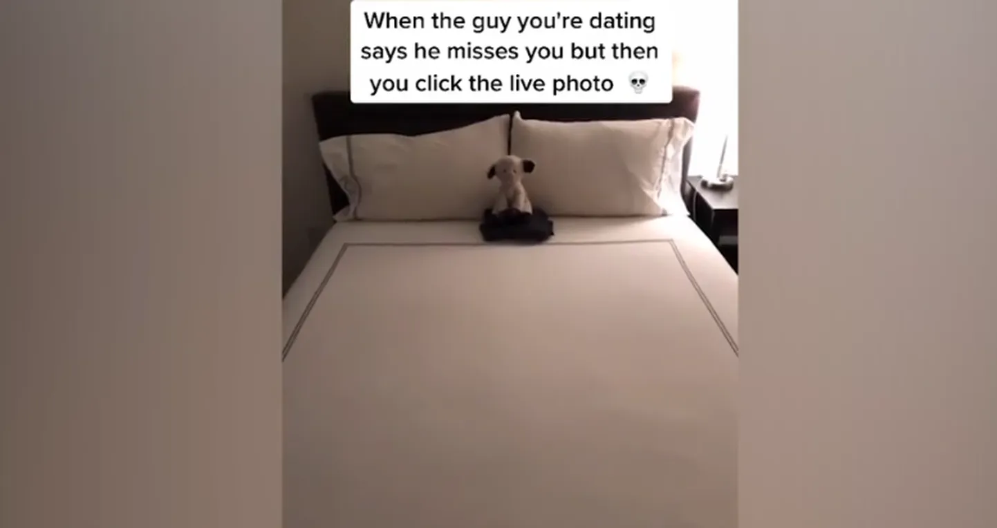 Artikli foto