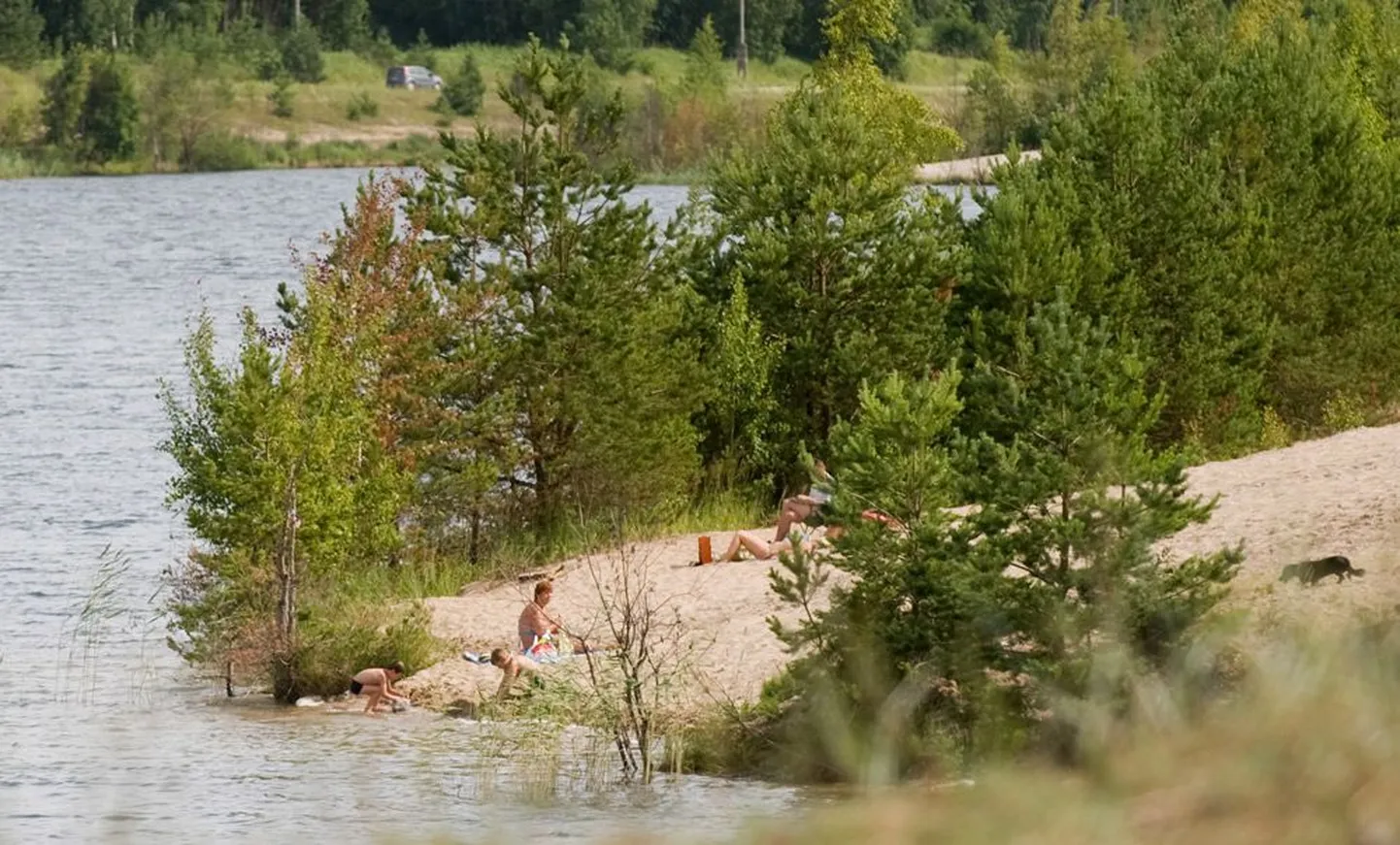 Männiku järvede ääres käivad suvel paljud inimesed päevitamas, nüüd on kavas see ala korda teha ning sinna ka sõudebaas rajada.