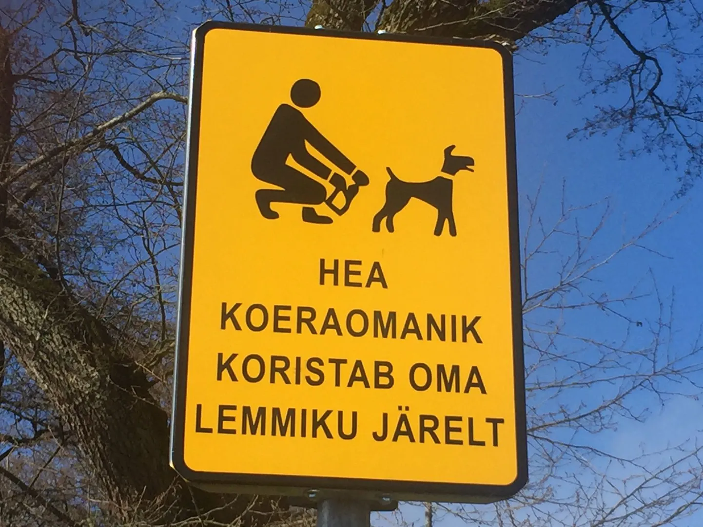 Фото статьи