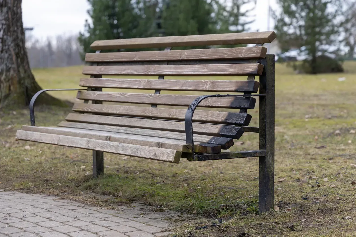 В парке у озера Паала 10 марта кто-то поджег скамейку.