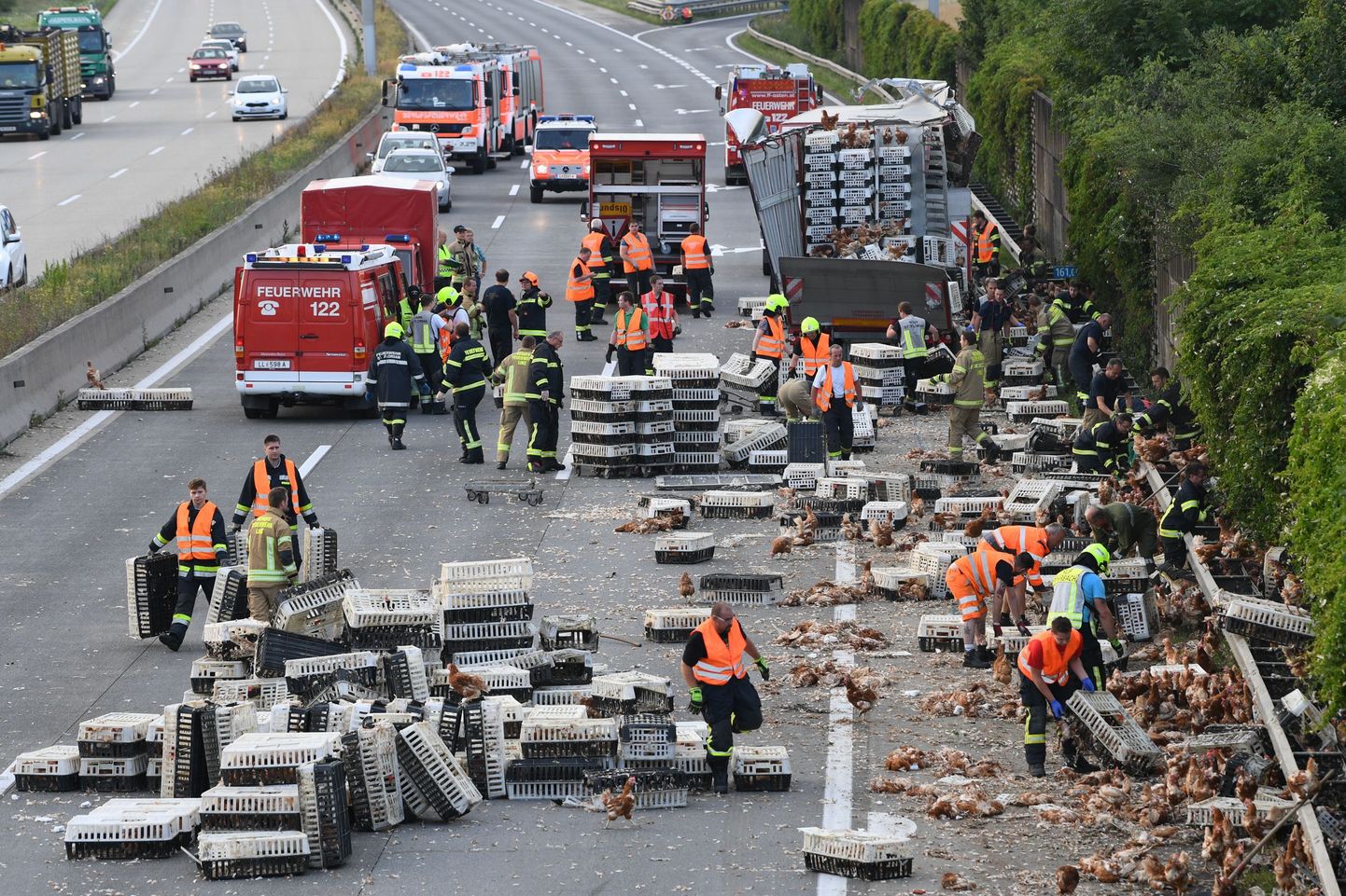 Austrias Linzi lähedal kukkusid kanad veoautost teele