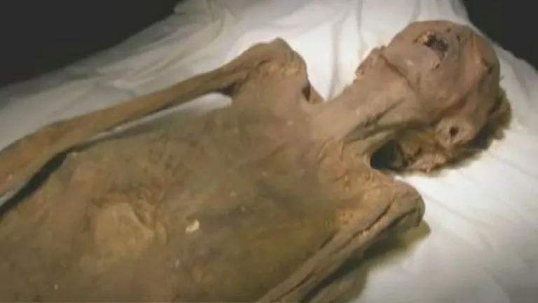 «Karjuv muumia», kes DNA-testi järgi on vaarao Ramses III poeg
