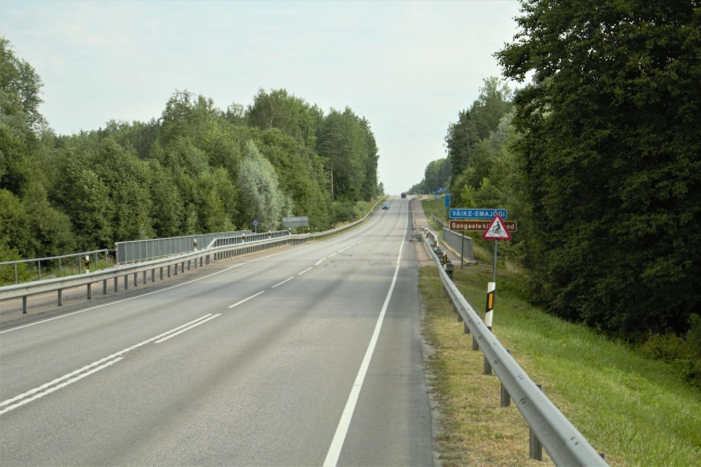 Päästjad käisid 28. juulil väidetavas vettehüppekohas Valga-Tartu teel üle Väikese Emajõe viiva silla juures inimesi otsimas, kuid kedagi ei leidnud.