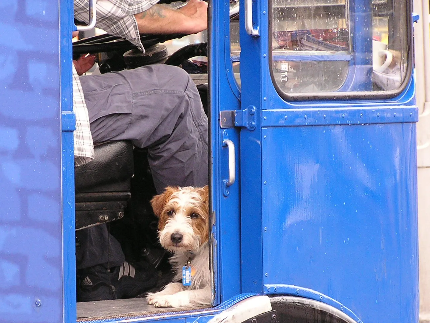 Artikli foto