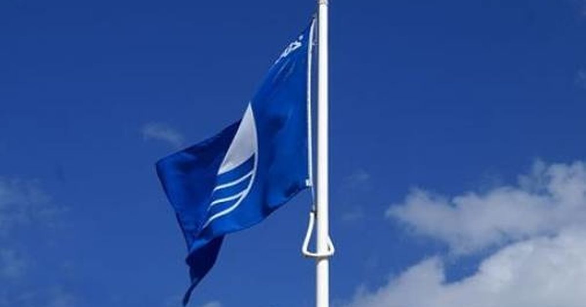 Blue flag