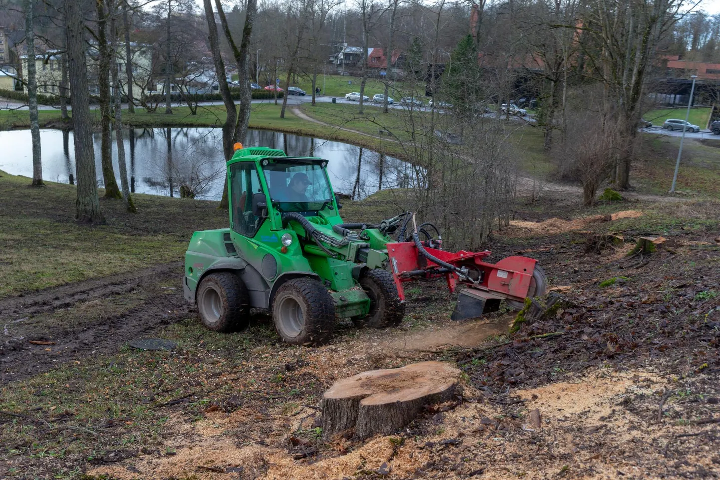 Jaanuari keskel võttis Linnahooldus maha osa mõisahoone taga olnud puudest.