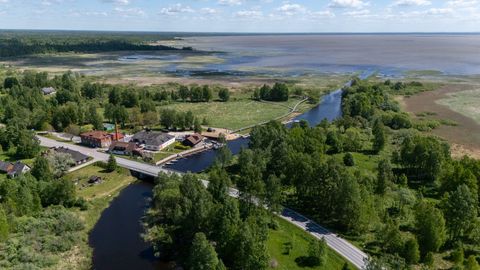 Estonian harbor transforms into a cultural hub with restaurants, concerts, and unique attractions