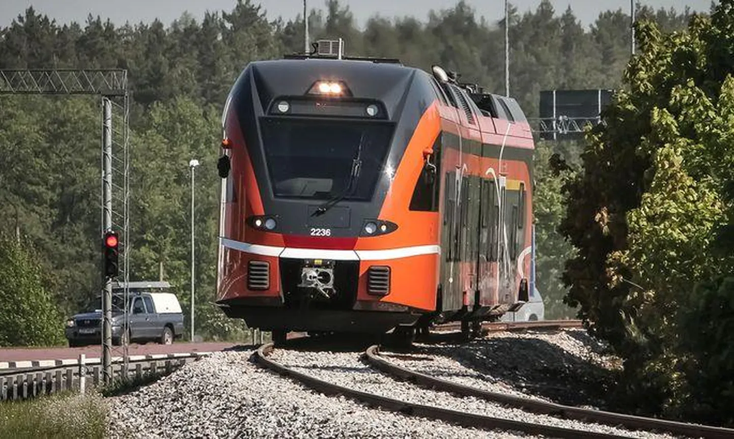 Elroni rong.