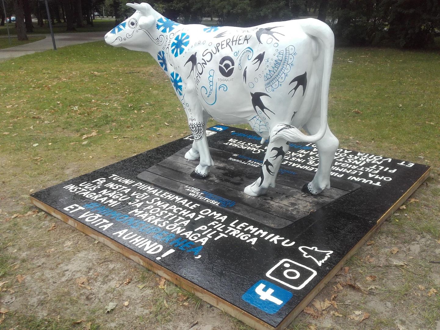 Rahvusvärvides lehmaskulptuur alustab Eesti ringreisi Pärnust.
