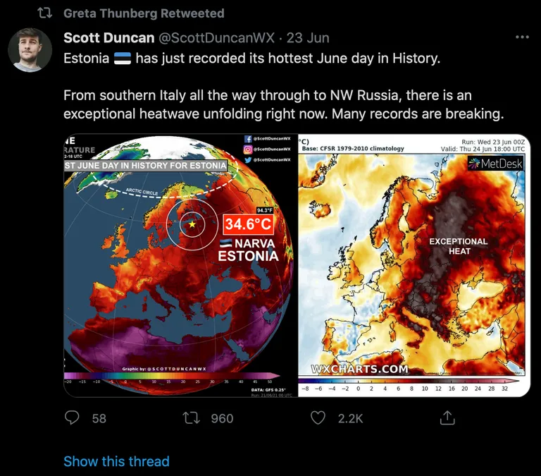 Активистка по климату Грета Тунберг поделилась новостями о июньском рекордном показателе жары в Эстонии в социальных сетях.