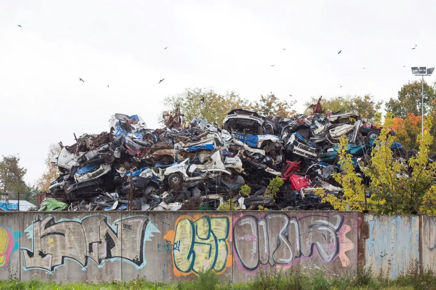 Politseiautod Kuusakoski metallikogumispunktis Rakveres.