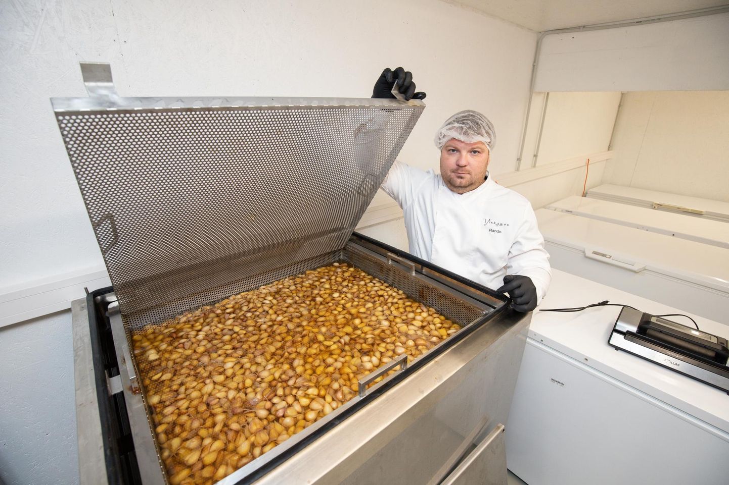 Vinkymon OÜ tegevjuht Rando Vink laseb piiluda küüslaugu fermenteerimise vanni.