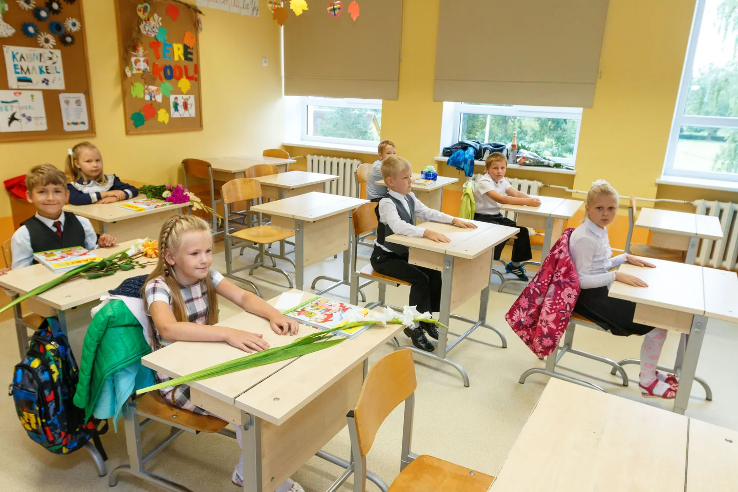 Tsirguliina keskkool. Foto on illustratiivne.