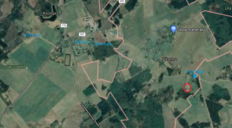 Huntide toimetamised Pikavere ja Koonga külas. Punase ringiga on märgitud 21. märtsi juhtum. Samuti on kaardile kantud, kus soed lambaid murdsid ja hobust kimbutasid.