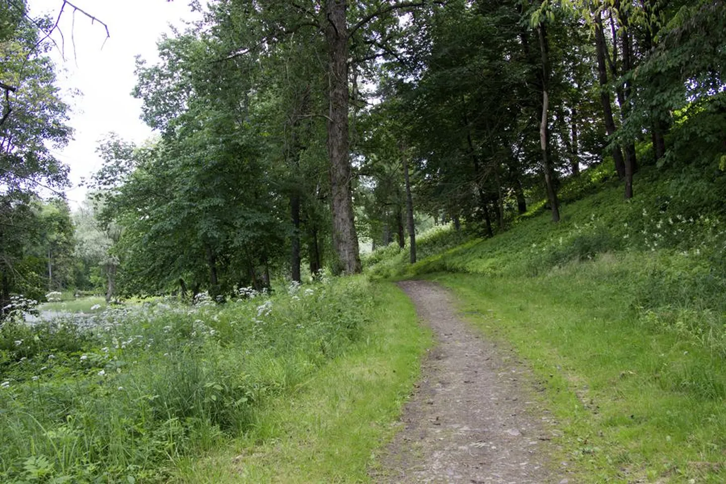 Uueveski jalgtee olukorra parandamisega hakatakse nüüd linnavalitsuses otsast peale. Nii linnapea kui remontimise idee autor on veendunud, et 30 000 euro eest saab töö tehtud.